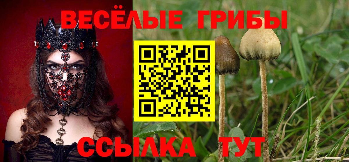 Псилоцибиновые грибы MAGIC MUSHROOMS Тавда