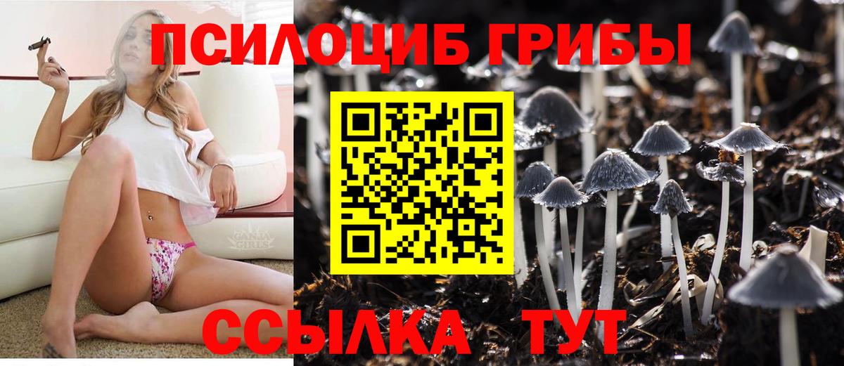 Тавда  Псилоцибиновые грибы ЛСД  Вход с VPN  Псилоцибиновые грибы GOLDEN TEACHER 